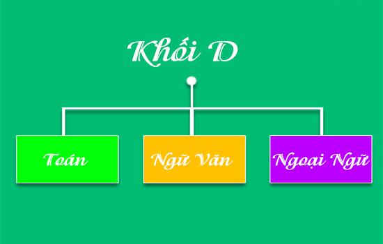 Khối D có nhiều tổ hợp môn và nhiều ngành lựa chọn